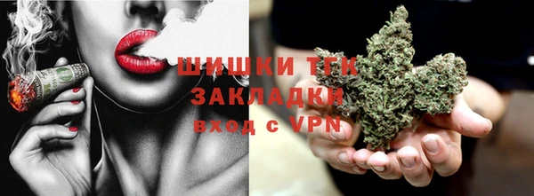 ПСИЛОЦИБИНОВЫЕ ГРИБЫ Гусев