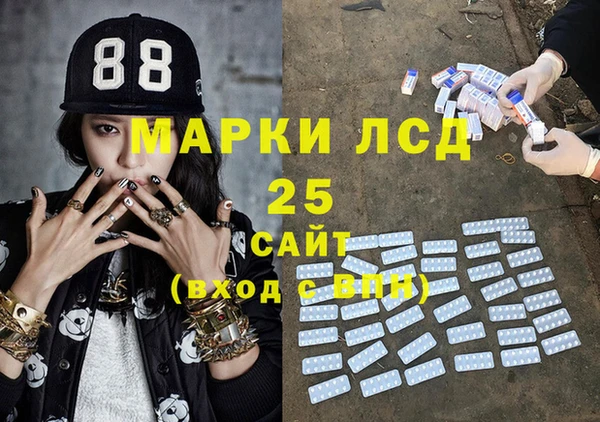 ПСИЛОЦИБИНОВЫЕ ГРИБЫ Гусев