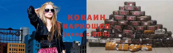 ПСИЛОЦИБИНОВЫЕ ГРИБЫ Гусев