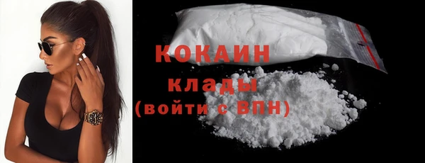 ПСИЛОЦИБИНОВЫЕ ГРИБЫ Гусев