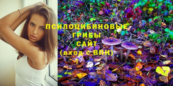 амфетамин Гусь-Хрустальный