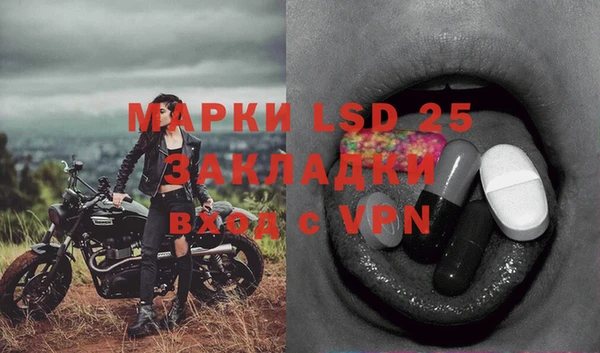 ПСИЛОЦИБИНОВЫЕ ГРИБЫ Гусев