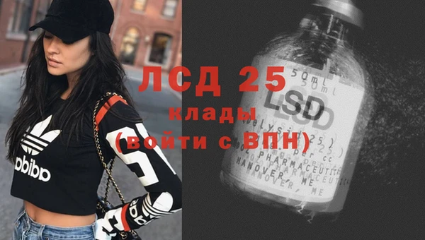 ПСИЛОЦИБИНОВЫЕ ГРИБЫ Гусев