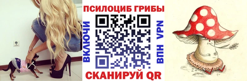 Псилоцибиновые грибы прущие грибы  Купить  Полевской 